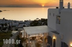 Damianos Mykonos Hotel in Sfakia, Chania, Crete