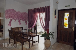 Stefanis House_accommodation_in_Hotel_Sporades Islands_Skiathos_Skiathos Chora