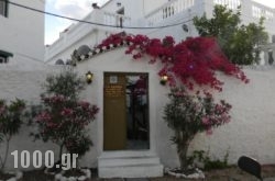 Villa Kalomira in Spetses Chora, Spetses, Piraeus Islands - Trizonia