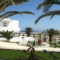 Mirsini Studios_travel_packages_in_Cyclades Islands_Paros_Paros Chora