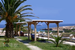 Mirsini Studios_lowest prices_in_Apartment_Cyclades Islands_Paros_Paros Chora