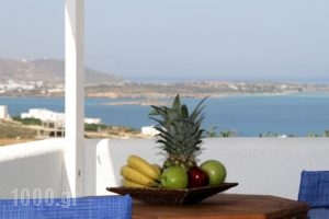 Anna Platanou Apartments_holidays_in_Apartment_Cyclades Islands_Paros_Paros Rest Areas