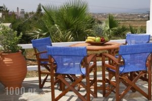 Anna Platanou Apartments_lowest prices_in_Apartment_Cyclades Islands_Paros_Paros Rest Areas