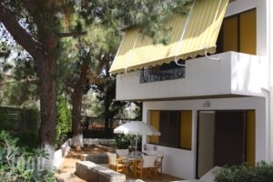 Creta Solaris Family Hotel Apartments_best deals_Apartment_Crete_Heraklion_Malia