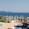 Villa Pasifai_best deals_Villa_Central Greece_Evia_Aliveri
