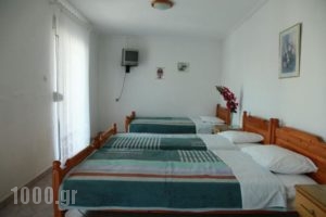 Athena Haus_holidays_in_Hotel_Macedonia_Pieria_Olympiaki Akti