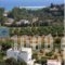 Liofyto Apartments_best prices_in_Apartment_Crete_Rethymnon_Aghia Galini