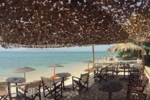 Medusa Resort Suites_lowest prices_in_Hotel_Cyclades Islands_Paros_Paros Rest Areas