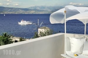 Aquis Mon Repos Palace Arthotel_holidays_in_Hotel_Ionian Islands_Corfu_Corfu Chora