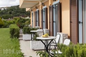 Mirtia Studios_best prices_in_Hotel_Ionian Islands_Kefalonia_Kefalonia'st Areas