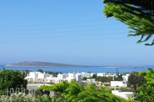 Narkissos Studios_accommodation_in_Hotel_Cyclades Islands_Antiparos_Antiparos Rest Areas