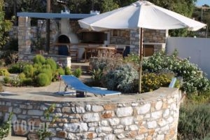 Narkissos Studios_lowest prices_in_Hotel_Cyclades Islands_Antiparos_Antiparos Rest Areas