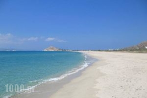 Thalassa Naxos_lowest prices_in_Hotel_Cyclades Islands_Naxos_Naxos chora