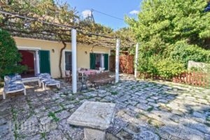 Turtle Beach_best prices_in_Apartment_Ionian Islands_Zakinthos_Agios Sostis