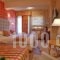Agiannorema_best deals_Hotel_Central Greece_Viotia_Arachova
