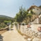 Althea Studios_holidays_in_Hotel_Ionian Islands_Lefkada_Lefkada Chora