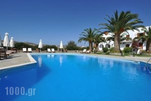 Eri Hotel_accommodation_in_Hotel_Cyclades Islands_Paros_Paros Chora