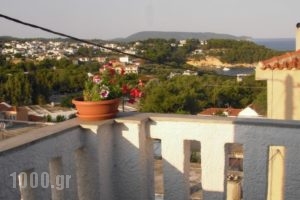 Ikos Studios and Apartments_holidays_in_Apartment_Sporades Islands_Alonnisos_Patitiri