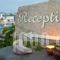 Big Blue_accommodation_in_Apartment_Cyclades Islands_Tinos_Tinos Rest Areas