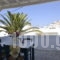 Ios art studios & apartmets_holidays_in_Apartment_Cyclades Islands_Ios_Ios Chora