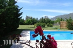 Echinades Resort in Vasiliki, Lefkada, Ionian Islands