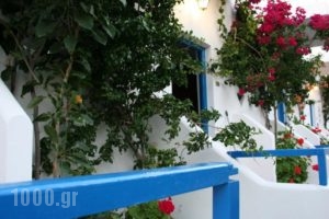 Oasis Apartments_accommodation_in_Apartment_Crete_Chania_Sfakia