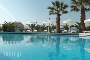 Leonidas Hotel &Amp; Studios_travel_packages_in_Dodekanessos Islands_Kos_Kos Chora