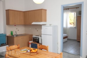 Agnadi Syros_lowest prices_in_Apartment_Cyclades Islands_Syros_Syrosst Areas