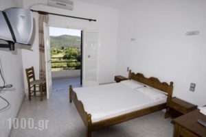 Amarandos Studios - Rooms & Apartments_best deals_Room_Ionian Islands_Kefalonia_Fiskardo