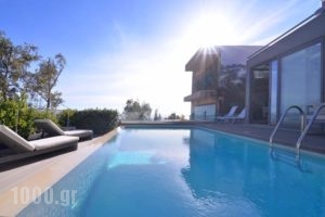 Stefano's Villa_lowest prices_in_Villa_Central Greece_Attica_Markopoulo