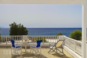 Dolphins Apartments_accommodation_in_Apartment_Cyclades Islands_Sandorini_Sandorini Chora