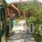 Elena Apartments_accommodation_in_Apartment_Ionian Islands_Corfu_Corfu Rest Areas