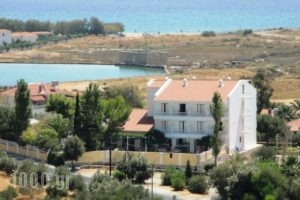 Apollon Resort_holidays_in_Hotel_Aegean Islands_Samos_Pythagorio