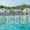 Dolphin Beach Hotel_accommodation_in_Hotel_Macedonia_Halkidiki_Kassandreia