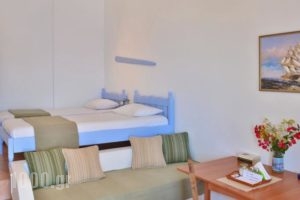 Lefkanthemo_best prices_in_Hotel_Dodekanessos Islands_Astipalea_Astipalea Chora