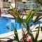 Kalya Suites & Studios_best prices_in_Hotel_Cyclades Islands_Sandorini_kamari