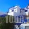Villa Galini_holidays_in_Villa_Cyclades Islands_Paros_Naousa