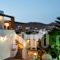 Irini Studios In Tinos_accommodation_in_Hotel_Cyclades Islands_Tinos_Tinosora