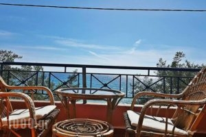 Anemelia Hotel_best deals_Apartment_Epirus_Preveza_Parga