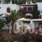 Akrogiali Hotel_accommodation_in_Hotel_Cyclades Islands_Tinos_Agios Sostis