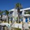 Poseidon Studios_best prices_in_Apartment_Dodekanessos Islands_Astipalea_Analipsi