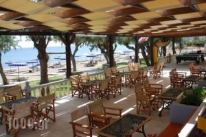 Elvita beach hotel_travel_packages_in_Dodekanessos Islands_Rhodes_Lindos