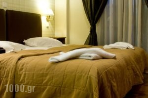 Alkistis Hotel_accommodation_in_Hotel_Thessaly_Magnesia_Portaria