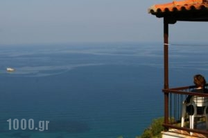 Sea View Studios_best deals_Hotel_Sporades Islands_Skopelos_Skopelos Chora