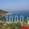 Sea View Studios_holidays_in_Hotel_Sporades Islands_Skopelos_Skopelos Chora