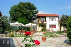 Villa Anthemia_best prices_in_Villa_Macedonia_Imathia_Naousa