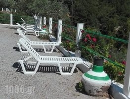 Gregory Studios_travel_packages_in_Aegean Islands_Samos_Samos Rest Areas