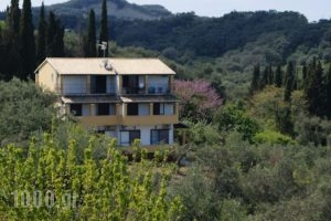 Villa Bouka_travel_packages_in_Ionian Islands_Corfu_Afionas