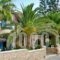 Hotel Zeus_best prices_in_Hotel_Cyclades Islands_Sandorini_kamari