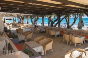 Elvita beach hotel_holidays_in_Hotel_Dodekanessos Islands_Rhodes_Lindos